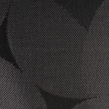 ACeC[W